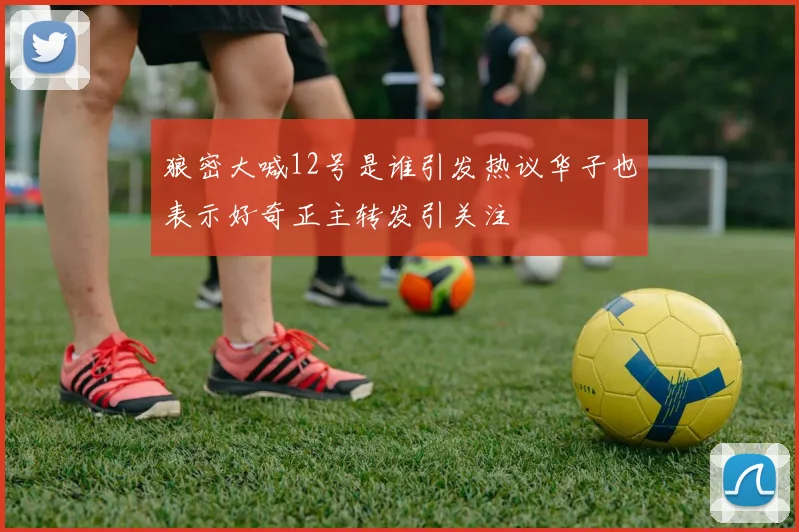 狼密大喊12号是谁引发热议华子也表示好奇正主转发引关注